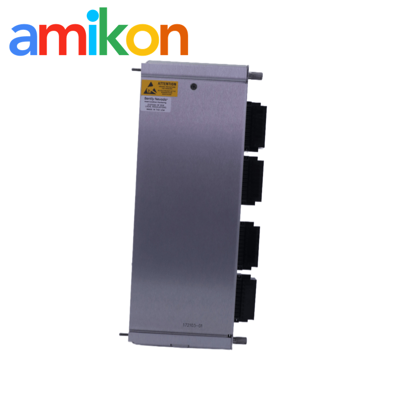 Bently Nevada 172103-01 16 Channel Temp I/O Module with RTD/Isolated Tip TC